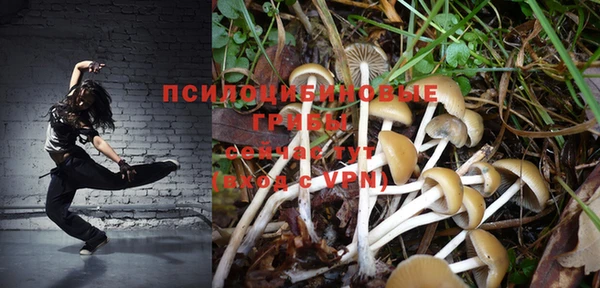 ГАЛЛЮЦИНОГЕННЫЕ ГРИБЫ Майский