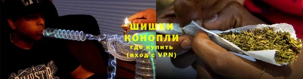 ГАЛЛЮЦИНОГЕННЫЕ ГРИБЫ Майский