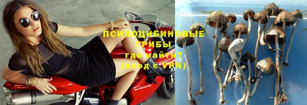 ГАЛЛЮЦИНОГЕННЫЕ ГРИБЫ Майский
